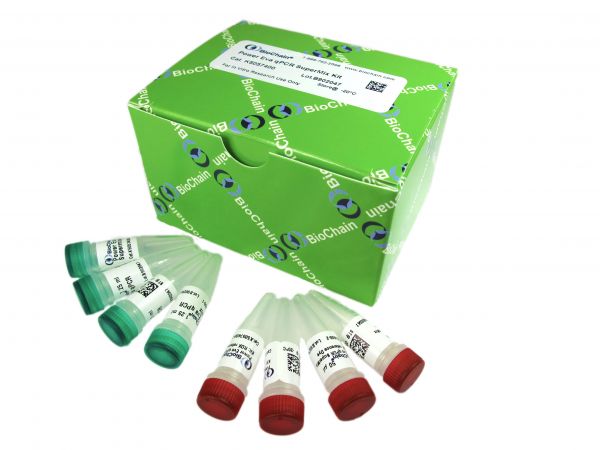 Pro QPCR SuperMix Kit (400rxn)