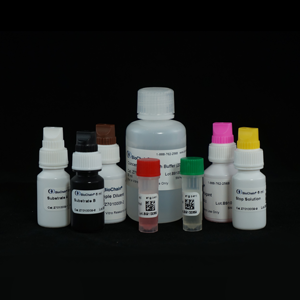 ELISA Kit for Antibody IgM to Herpes Simplex Virus Type II