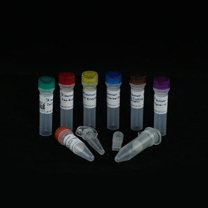 RapidSeq High Yield Directional mRNA Sample Prep Kit - With Aligner 13-24