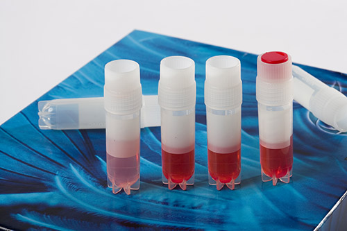  Sampling tubes with Indomethacin