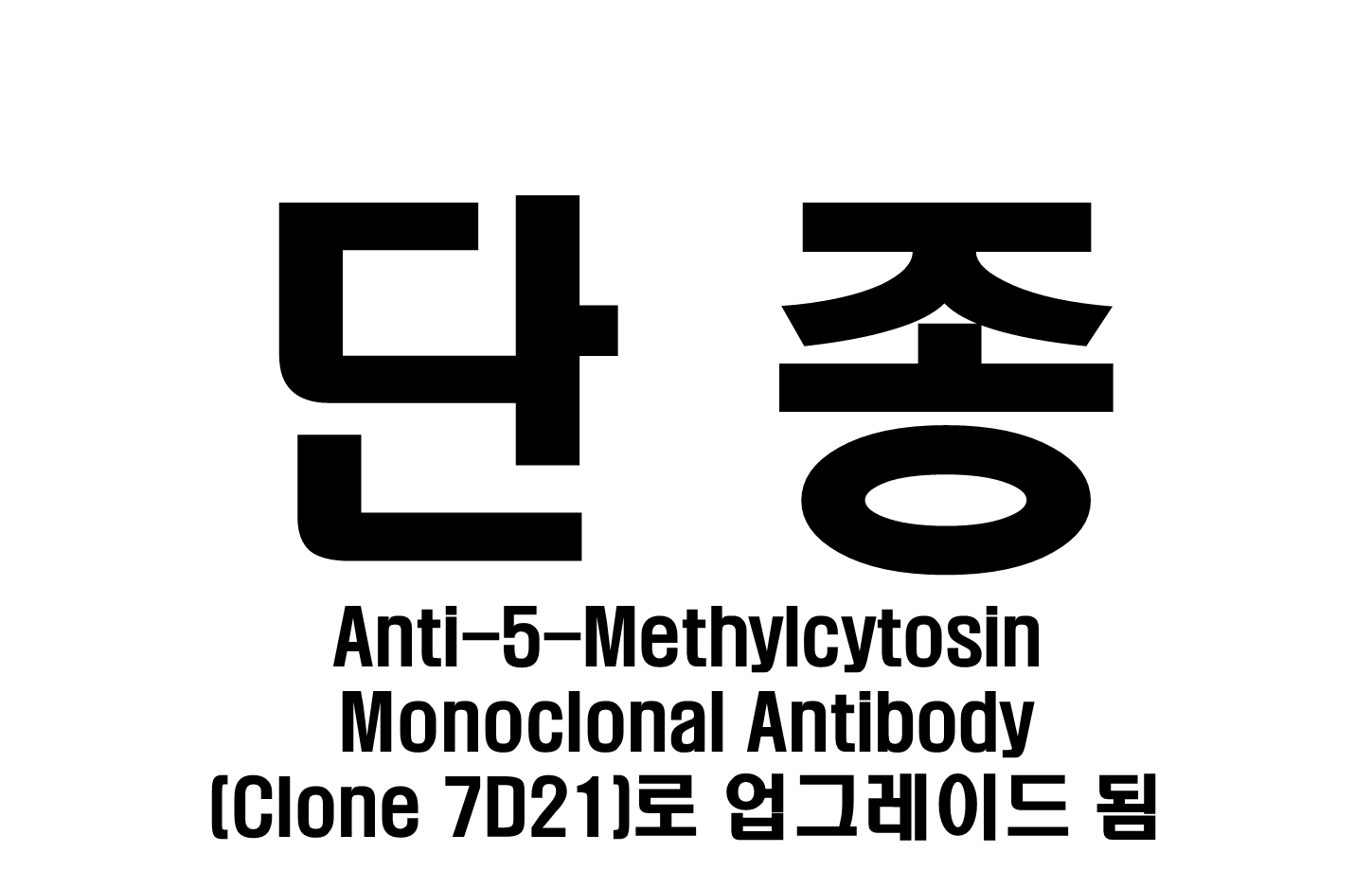 Anti-5-Methylcytosine Monoclonal Antibody (Clone 10G4)